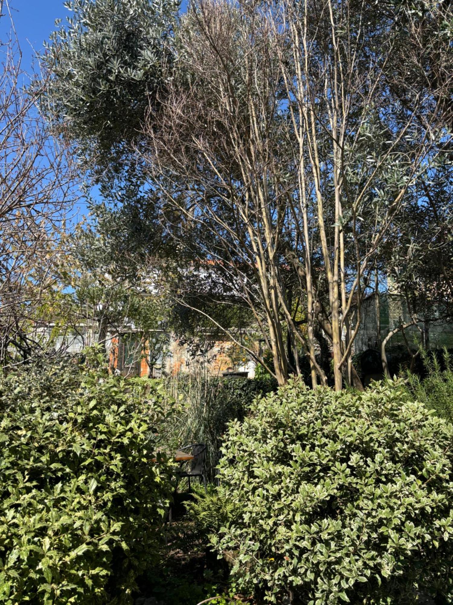 House Demaro Daire Matulji Dış mekan fotoğraf